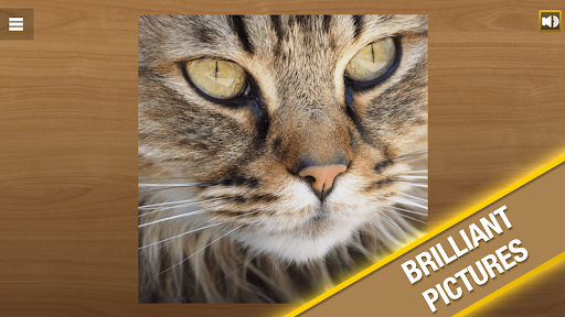 Jigsaw Puzzle game screen 2
